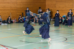 DJC 2017 HKenV_011.jpg